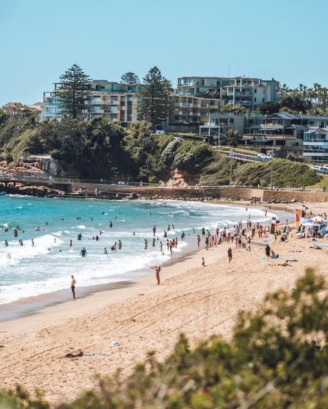 🌊 Famed for its broad golden sand beach, tranquil lagoon and seaside vibe, Terrigal is a popular spot for swimming, surfing and socialising. ✨ Stroll the Norfolk pine-lined Esplanade of this NSW Central Coast town and you’ll find buzzing restaurants, cafes, boutiques, ice cream parlours and rooftop bars. Don't forget to check out the boardwalk and rock pool. 📸 IG: @jessicacoulter_ Central Coast Australia, Philippine Islands, Norfolk Pine, Trip To Australia, Australia Beach, Pearl Beach, Rooftop Bars, Rock Pools, Manifestation Board