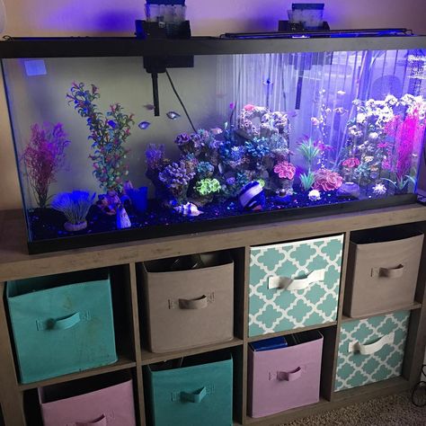 #glofish #aquarium Glofish Aquarium, Glow Fish, Fish Tank Themes, Cool Fish Tanks, Themes Ideas, Cool Fish, Fish Supplies, Aquarium Design, Organized Chaos