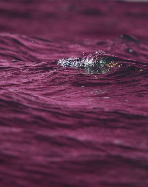 Tyrian purple is a kind of True Winter burgundy. It's a cool, reddened violet. Very regal. Burgundy Texture, Burgundy Aesthetic, Pantone Red, Yennefer Of Vengerberg, Pink Ocean, Pink Sea, True Winter, Colour Texture, Red Plum