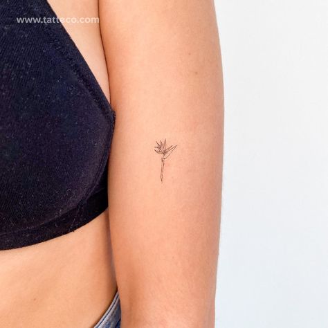 South Africa Flower Tattoo, Bird Of Paradise Line Tattoo, Bird Of Paradise Tattoo Small, South Africa Tattoo Ideas, Strelitzia Tattoo, Paradise Flower Tattoo, South Africa Tattoo, Exotic Flower Tattoos, Symbolic Flowers