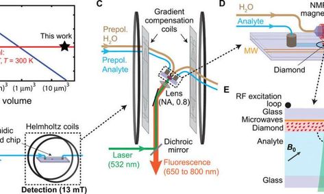 Nuclear Magnetic Resonance, Organic Chemistry Study, Chemical Analysis, Absolute Value, Magnetic Resonance, Organic Chemistry, Magnetic Field, Radio Frequency, Astronomy