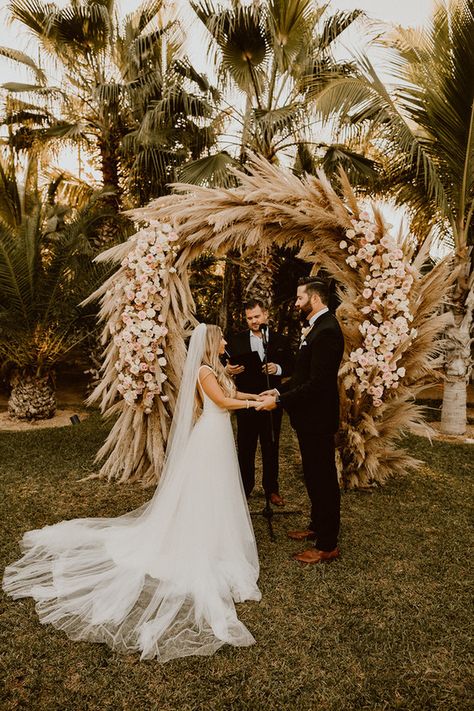 Pink and pampas Cabo wedding | Acre Baja wedding | 100 Layer Cake Pampas Grass Ceremony, Pampas Grass Arch, Ceremony Arch Wedding, Hmong Wedding, Baja Wedding, Acre Baja, Asheville Elopement, Wedding Arches, Cabo Wedding