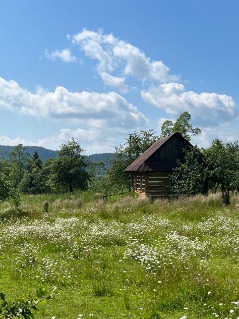 small wooden house in the field of flowers. Lopyshanka, Ukraine Cottage In Field, House In Flower Field, Small Village Aesthetic, Cottage Core House Aesthetic, Open Field Aesthetic, House In Field, House In The Field, House In A Field, Abandoned Aesthetic