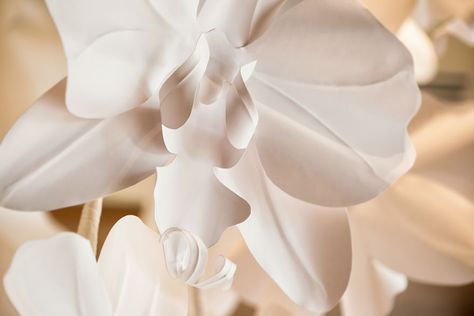 This Giant 7ft Long Orchid Chandelier Is Handmade Out Of Paper | Bored Panda Orchid Chandelier, Giant Chandelier, Botanical Library, Paper Chandelier, All White Room, Botanical Theme, Wing Design, Pasadena California, Wings Design