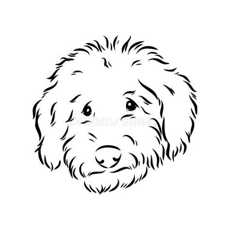 Poodle Vector, Labradoodle Drawing, Mammal Drawing, Dog Face Drawing, Colouring Sheets, Drawing Graphic, Coloring Sheets For Kids, Dog Vector, Vector Sketch