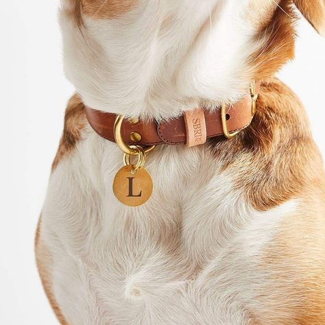 Personalised Brass Dog ID Tag | Engraved Name Tag for Pet Collar with Personalized Name or Initials Luxury Dog Collars, The New Forest, Christmas Classic, Leather Dog Collar, Cat Tags, Pink Lilac, Dog Id Tags, Luxury Dog, Id Tags