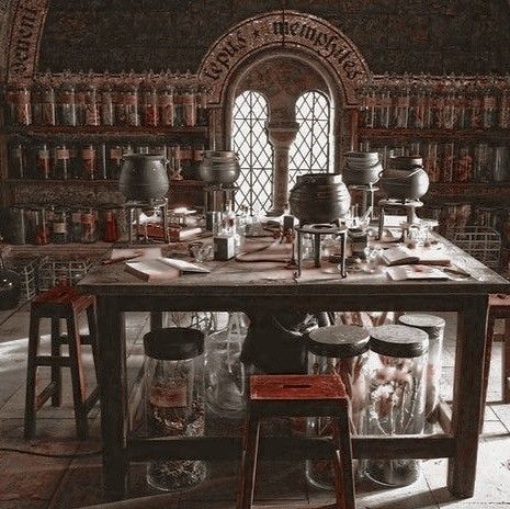 Hogwarts Classes, Potion Making, Professor Severus Snape, Harry Potter Oc, Gryffindor Aesthetic, Hogwarts Aesthetic, Harry Potter Aesthetic, Witch Aesthetic, Harry Potter Series