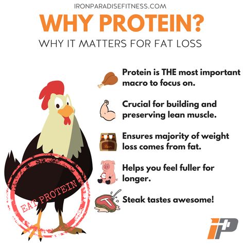 🔥Why is protein important for fat loss?🔥. . Protein. Protein. Protein. That's all everyone seems to talk about these days. But why? What's so good about it? And does it actually have any benefit? . Well, the simple answer is yes. It is the single most important macro for you to consider. . Getting the right amount of protein in your diet is going to help build and preserve lean muscle, So when you trim down that body fat, you'll be left with a gloriously well shaped physique. . Added to that, What Is Protein, How To Reach Protein Goal, Calculating Macros For Muscle Gain, Protein Importance, Examples Of Protein, Importance Of Protein, Protein Benefits, Protein Intake For Fat Loss, National Nutrition Month