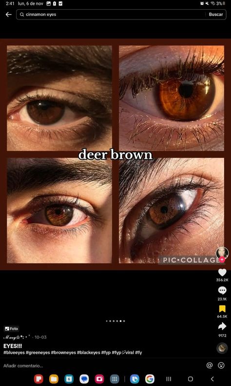 Brown Eyes Description, Pretty Eyes Color, Eye Colours, Rare Eyes, Beautiful Eyes Color, Creative Writing Tips, Types Of Eyes, Boys With Curly Hair, Aesthetic Eyes