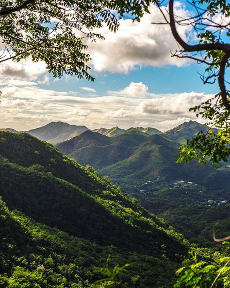 What you think, you become 🌳 Salinas Puerto Rico, Afro Boricua, Puerto Rico Travel, Indian Tattoos, Puerto Rico Island, Puerto Rico History, Puerto Rico Art, Puerto Rican Pride, Puerto Rican Culture