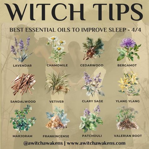 Herbs For Clarity Witchcraft, Herbs For Sleep Witchcraft, Herb Witch, Herbs For Sleep, Herbal Shop, Witchcraft Herbs, Wiccan Rituals, Medical Herbs, Magickal Herbs