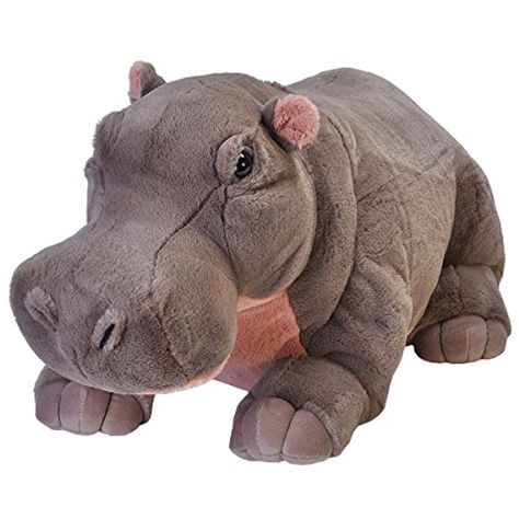 Hippo Facts, Fiona The Hippo, Big Stuffed Animal, Giant Stuffed Animals, Realistic Stuffed Animals, Monkey Stuffed Animal, Big Plush, Dog Stuffed Animal, Pet Pigs