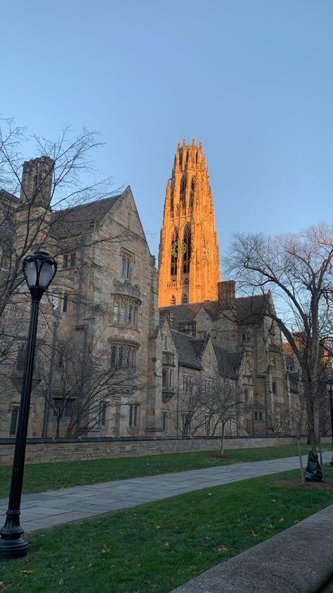 Yale Aesthetic, University Vibes, College Abroad, University Inspiration, Ivy League Colleges, Yale Bulldogs, Ninth House, College Vision Board, Hell Bent