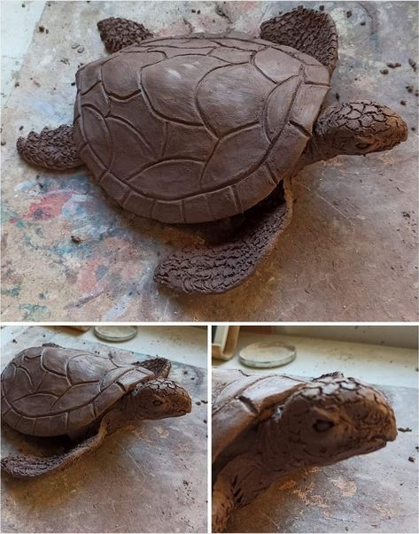 Turtle Clay Sculpture Easy, Ceramic Sea Turtle, Pottery Animals Easy, Turtle Clay Sculpture, Clay Turtles, Turtle Pottery, Clay Turtle, Coil Pottery, Turtle Sculpture