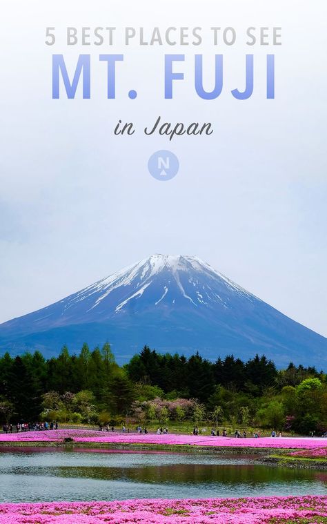 Japan Travel Destinations, Camping Snacks, Monte Fuji, Japan Holidays, Nara Japan, Japan Itinerary, Mont Fuji, Japan Vacation, Japan Travel Tips