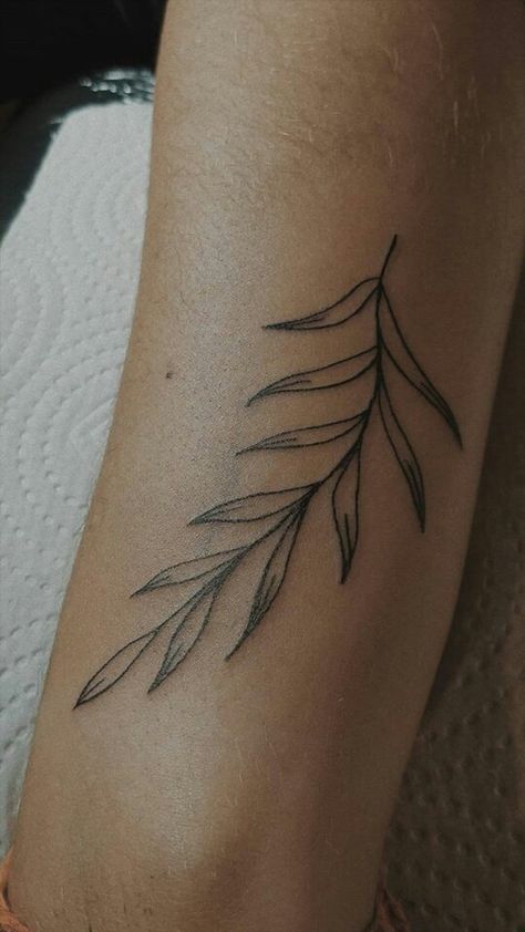 Curved Leaf Tattoo, Leafy Knee Tattoo, Leaf Tattoo Knee, Small Tattoos Tree, Tree Line Tattoo, Tattoos Tree, Abs Tattoo, North Star Tattoos, Nova Tattoo