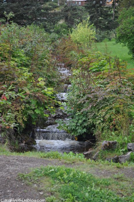 Stream beside the road in Hoonah Alaska Hoonah Alaska, Alaska Trip, Alaska Usa, Alaska Travel, Round Trip, Sounds Like, Alaska, The Road, Walking