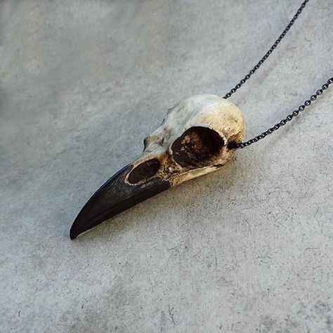 Bird Skull Necklace: 2.75 Resin Raven Skull. Cast of durable urethane resin from a real raven skull and then shrunk down to a small size (the original skull was 3.5 before it was shrunk down to this 2.75 size). All of the same fine detail and proportions are captured in the mini version of this Bird Skull Jewelry, Bird Skull Necklace, Raven Skull Necklace, Black Chain Necklace, Resin Skull, Raven Pendant, Raven Necklace, Crow Skull, Skull Gifts