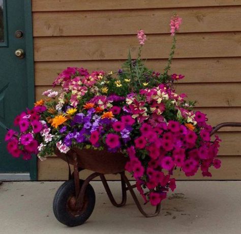 Wheelbarrow Planter, Lush Landscape, Wheel Barrow, نباتات منزلية, Hosta Plants, Container Gardening Flowers, Landscape Designs, Have Inspiration, Garden Containers