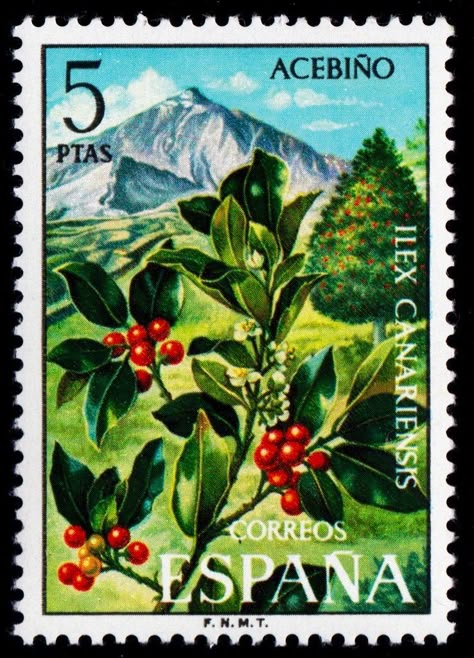 Holm Oak, طوابع بريد, Postage Stamp Design, Commemorative Stamps, Old Stamps, Chat Board, Postage Stamp Art, Vintage Postage Stamps, Stamp Collection