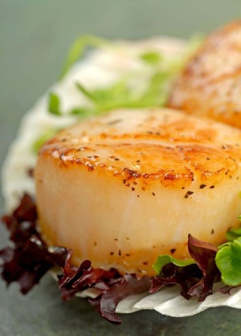 15 Favorite Scallop Recipes Broiled Scallops, Herb Butter Sauce, Scallops Recipe, Garlic Garlic, Pan Seared Scallops, Scallop Recipes, 12 Tomatoes, Black Olives, Scallops Seared