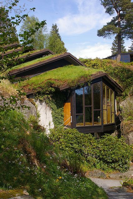 We went to a concert in this concert hall in honor of Edvard Grieg close to his home Trollhaugen in Bergen, Norway.  Look at the roof line and moss/grass covering. Edvard Grieg, Earth Sheltered Homes, Casa Hobbit, Maria Garcia, Earthship Home, Earth Sheltered, Living Roofs, Underground Homes, Bergen Norway