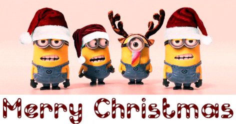 Are you looking for funny christmas gif? then you are at the right place. We have come up with a handpicked collection of funny merry christmas gifs and funny christmas animated gif. Merry Christmas Minions, Christmas Animated Gif, Funny Christmas Poems, Xmas Gif, Merry Christmas Animation, Minion Christmas, Holiday Gif, Merry Christmas Gif, Christmas Calligraphy