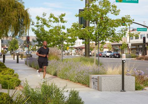 WRT | Planning + Design Streetscape Design, Linear Park, Urban Landscape Design, Public Space Design, Street Trees, Grasses Landscaping, Green Street, Road Design, Urban Furniture