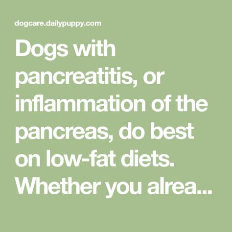 Dogs with pancreatitis, or inflammation of the pancreas, do best on low-fat diets. Whether you already feed your dog fresh foods or you're switching from kibble to a fresh diet or you simply want ... Healthy Homemade Dog Food, Foods For Dogs, Dog Food Treats, Make Dog Food, Dog Treats Homemade Recipes, Dog Diet, Low Fat Diets, Homemade Dog Food, Healthy Homemade