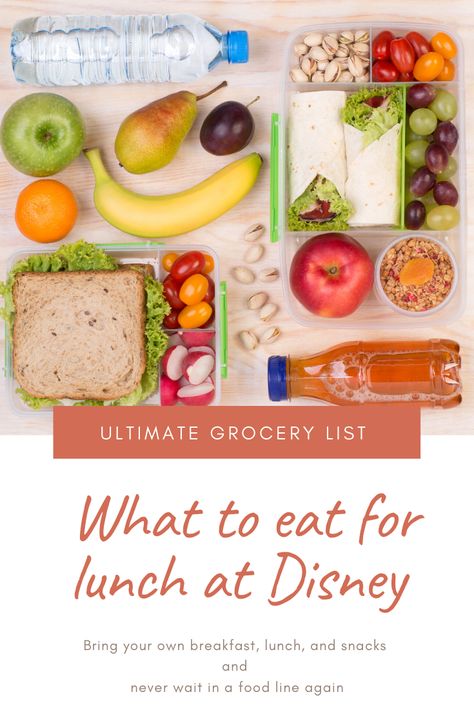 Food To Bring To Disney World, Lunches To Pack For Disney World, Disney Grocery List, Food To Take To Disney World, Snacks To Bring To Disney, Meals To Pack For Disney World, Snacks For Theme Parks, Theme Park Lunch Ideas, Amusement Park Lunch Ideas