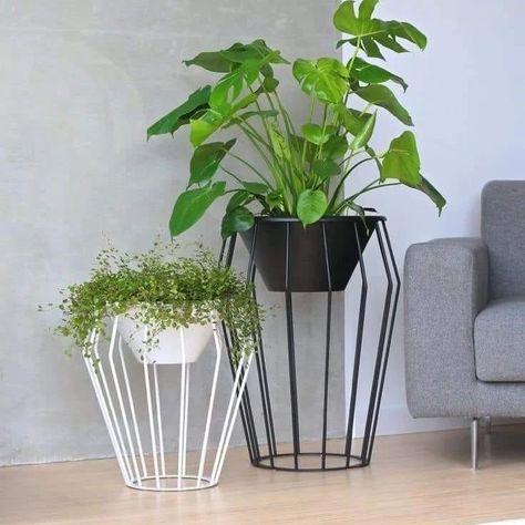 Pot stand 🌿🌻 | Garden decor ideas #potstand #flowerpot #flowerpots #flowerpotstand #homedesignsdworld #decorativegarden #ironpotstand #cookinghacks #gardendecor #chailover #fashioninspiration Studio Plants, Plant Office Design, Succulent Garden Outdoor, Kursi Bar, Rustic Planters, Modern Plant Stand, Relaxing Outdoors, Leather Factory, Pot Stand