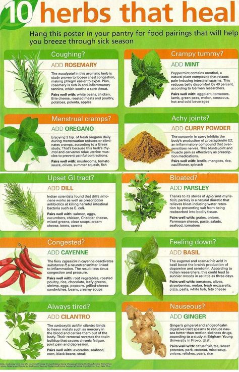 Magia Das Ervas, Natural Healing Remedies, Diy Remedies, Natural Therapy, Aromatic Herbs, Natural Diy, Food Pairings, Medicinal Herbs, Natural Home Remedies