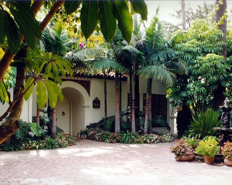 Mediterranean Exterior Design, Subtropical Garden, Tropical Backyard Landscaping, Plant Palette, Palm Trees Landscaping, Mediterranean Exterior, Asian Landscape, Tropical Backyard, Brick Paving