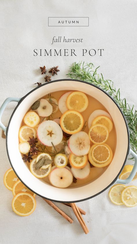 When we think of fall we think of the warm scent of cinnamon, apples, and fallen leaves. This simmer pot recipe ties in all of those scents to make your home smell like fall! Simmer Pot With Apples, Apple Simmer Pot Recipes, Fall Simmer Pot, Pot Potpourri, Home Smell Like Fall, Homemade Apple Sauce, Simmering Pot, Smell Like Fall, Canning Apples