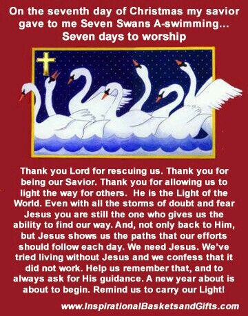 7th - Day of Christmas Epiphany Of The Lord, Seven Swans, Jesus Songs, My Savior, Christmas Poems, Childrens Bible, Christ The King, Christian Devotions, Thank You Lord