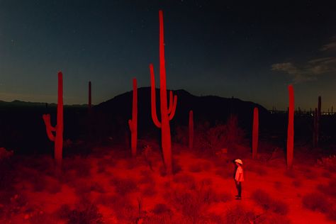 Space Cowboy, Space Cowboys, Strobing, Cinematography, Short Film, Film Photography, Nature Photography, Cowboy, Art Inspiration