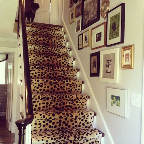 Cheetah Carpet, Den Addition, Leopard Carpet, Erin Gates Design, Stairs Carpet, Stair Art, Staircase Runner, Entry Stairs, Erin Gates