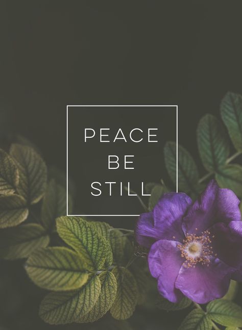 "Peace! Be still!" - Mark 4:39 Peace Be Still Wallpaper, Peace Be Still Quotes, Exams Motivation, Be Still Quotes, Peace Be Still, Choose Peace, God Speaks, Seek Peace, Inspired Quotes