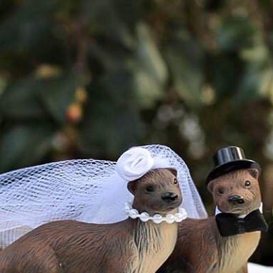 otter_addict on Instagram: "Otter wedding cake toppers! So... who wants to get married? - 📸 Via 📷Unknown, tag to credit! - Tag someone who needs to see this💙 - Follow 👉 @otterloyal for more content💓🌼🥰 ======================= Follow 👉 @otterloyal for more content💓🌼🥰 - - - - #ottertail#riverotters#instaotters#ottertattoo#dailyotters#ottersofinstragram#animalovers#animals#babyanimals#comedy#coonbaby#cute#cuteanimals#cutepet#ehot#fluffy#friend#funinpuddles#funnyposts" Otter Wedding, Tag Someone Who, Wedding Cake Toppers, Tag Someone, Otters, Got Married, Getting Married, Wedding Cake, Cake Toppers