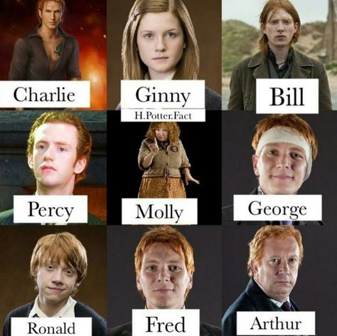 Characters In Harry Potter, Harry Potter Fanları, Film Harry Potter, Citate Harry Potter, Weasley Family, Tapeta Harry Potter, Funny Harry Potter Jokes, Harry Potter Ron, Harry Potter Feels