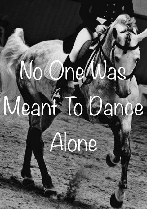 Dressage Quotes, Horse Healing, Equine Quotes, Horse Quotes Funny, Inspirational Horse Quotes, Horse Riding Quotes, Equestrian Quotes, Cowgirl Quotes, Riding Quotes