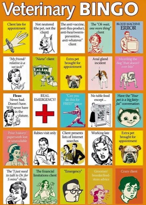 Veterinary bingo                                                                                                                                                                                 More Work Morale, Veterinary Technician Week, Veterinary Humor, Vet Tech Humor, Veterinary Receptionist, Vet Tech School, Dog Tools, Veterinary Tech, Vet Life