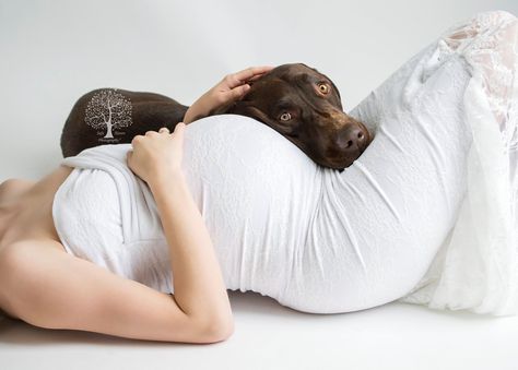 Dog And Pregnant Belly Photo Ideas, Dog And Pregnant Belly, Maternity Poses With Dog, Maternity Photo Shoot With Dog, Maternity Photoshoot With Dog, Maternity Shoot With Dog, Pregnancy Bump Photos, Maternity Photography Winter, Home Maternity Photography