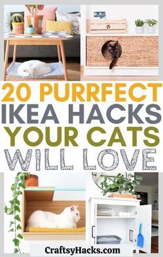 You can have the best furniture for your favorite feline in your home with these incredible IKEA hacks for cats. You can spend less money on cat trees, litter boxes, and more when you use the more affordable IKEA furniture ideas! #IKEAHacks #Cats Bookshelf Cat Tree Ikea Hacks, Diy Ikea Cat Hacks, Diy Cat Supplies, Ikea Hacks Pets, Cat Friendly Furniture Living Rooms, Cat Wall Ikea Hacks, Cat Wall Ideas Ikea Hacks, Cat Kallax Hack, Cattery Ideas Cat Room Play Areas