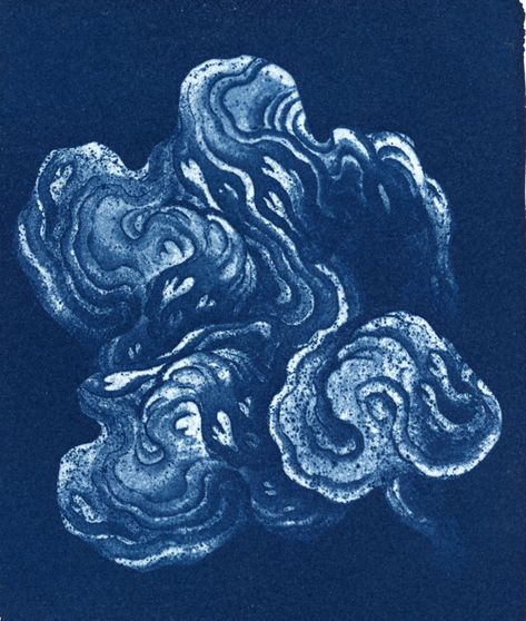 Nathaniel Howe, Pink Dogwood Tree, Cyanotype Process, Carmel Ca, Ethereal Art, Winter Blues, Photographic Art, Blue Art, Artist Books