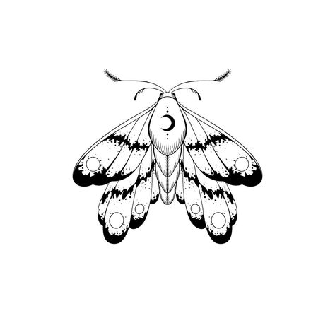 moth tattoo design + | . | + #tattoo #tattoos #tattooart #tattoodesign #sydneytattoo #moth #art #design #portfolio #mothtattoo #mothtattoos #moths #traditionaltattoo #graphictattoo #flash #tattooflash Cute Moth Tattoo, Moth Tattoo Stencil, Moth Tattoo Design, Cute Moth, Tattoo Design Tattoo, Tattoo Templates, Moth Art, Moth Tattoo, Design Tattoo