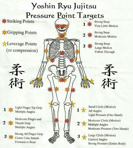 Jujitsu pressure point targets Body Pressure Points, Martial Art, The Human Body, Pressure Points, Martial Arts, Human Body, Writing, Human, Art