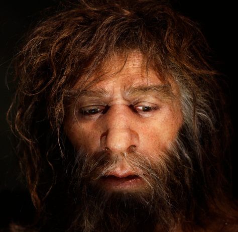 Prehistoric Man, Human Genome, Human Evolution, Early Humans, Human Species, Primates, Anthropology, Ancient History, Scientists