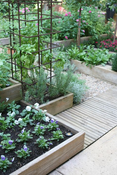 staggered height wooden planter boxes   or   make them hip high so you don't have to bend over so far..   perfect Garden Potager, Vertical Gardening, Modern Garden Design, Edible Landscaping, Veg Garden, Have Inspiration, Plants And Flowers, Garden Boxes, Veggie Garden