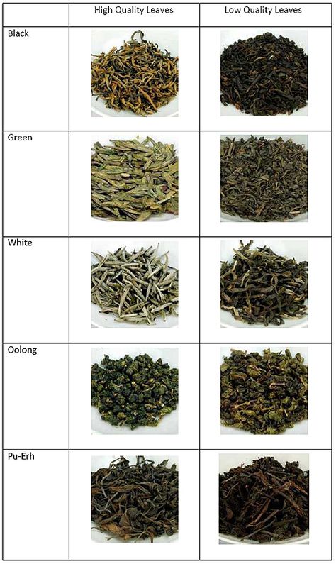 Leaf quality (a great website) Best Tea Brands, Gong Fu Cha, Type Of Tea, Best Green Tea, Herbal Teas Recipes, Tea Culture, Tea Brands, Tea Tasting, Types Of Tea